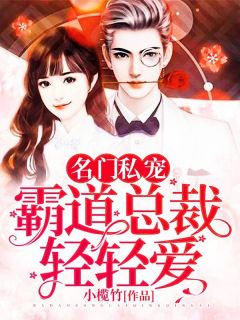 名门私宠：霸道总裁轻轻爱无弹窗在线阅读