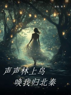 声声林上鸟，唤我归北秦免费阅读全文，主角陈以声秦录宴小说完整版