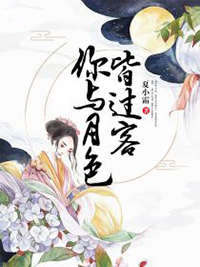 主角是顾汐月是贺闻朝的你与月色皆过客抖音热门小说