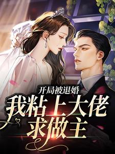 开局被退婚，我粘上大佬求做主许诺陆沉全本小说（开局被退婚，我粘上大佬求做主）全章节小说目录阅读