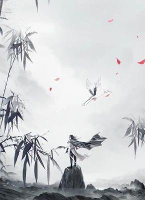 林云紫霞仙子主角小说林云神域第一武帝抖音文免费阅读全文