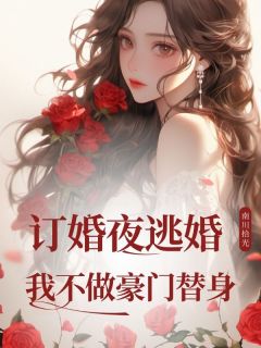 林清沫陆瑾琛小说抖音热文订婚夜逃婚，我不做豪门替身完结版