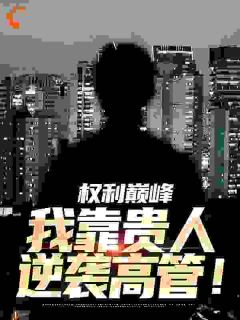 陆小阳乔江波全章节阅读-权利巅峰：我靠贵人逆袭高管！全文分享阅读