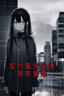 契约蜜宠宋淮南陈栗栗免费小说作者陈栗栗全文阅读-随缘阅读网