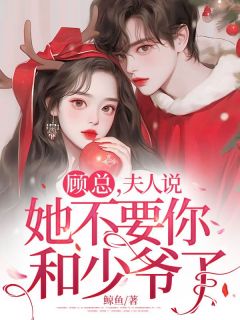 许念顾云琛小说顾总，夫人说她不要你和少爷了免费阅读