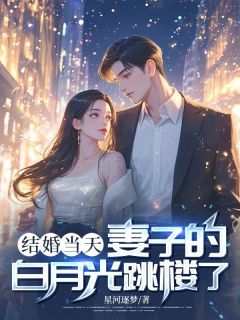 结婚当天，妻子的白月光跳楼了沈慕寒白沙沙全章节目录免费阅读
