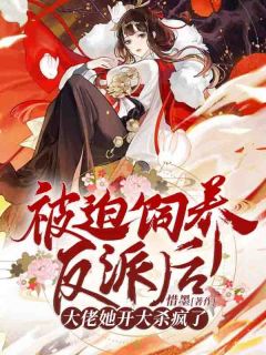 私藏读物被迫饲养反派后，大佬她开大杀疯了云璃夜修完结版免费阅读