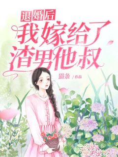 退婚后我嫁给了渣男他叔免费小说作者猫条全文阅读-随缘阅读网