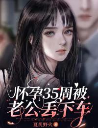 怀孕35周被老公丢下车刘彤张子瑜张庭源免费阅读-怀孕35周被老公丢下车夏炙野火小说