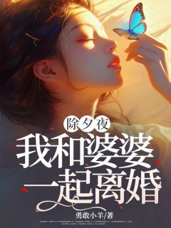 除夕夜，我和婆婆一起离婚全本小说（除夕夜，我和婆婆一起离婚）全文阅读