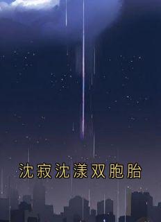 沈寂沈漾江绾小说沈寂沈漾双胞胎免费阅读