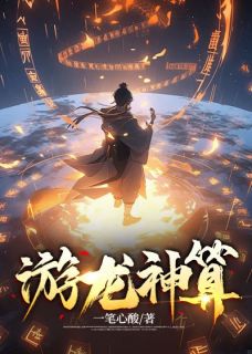 游龙神算徐湘鹏龙婆小说全文阅读