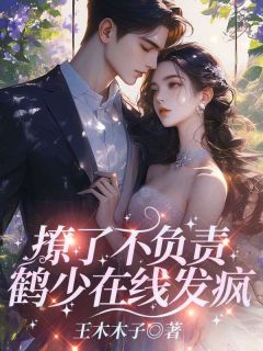 撩了不负责，鹤少在线发疯章节全目录 林向婉萧鹤川全文免费阅读