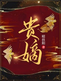 张汐音周易宏婉婉小说全集(张汐音周易宏)无弹窗广告阅读