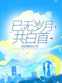 值得熬夜看完的已无岁月共白首小说阅读