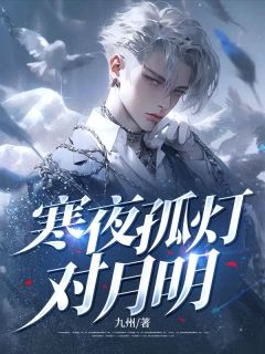 寒夜孤灯对月明小说的书名是什么