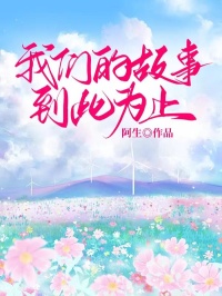高质量小说我们的故事，到此为止在线试读