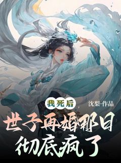我死后，世子再婚那日彻底疯了（如烟沈云州林念）精彩小说目录阅读