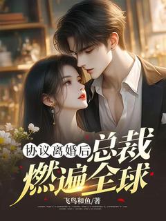 老书虫力荐协议离婚后，总裁燃遍全球免费无弹窗阅读