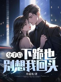 分手后，下跪也别想我回头小说全集(齐夏林念秋)无弹窗广告阅读