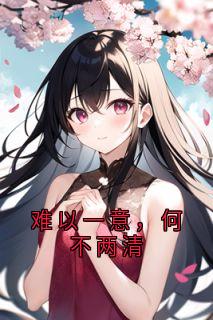 毛毛雨大人写的小说难以一意，何不两清在线阅读