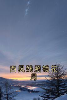 (精品)西风残照镜花月小说