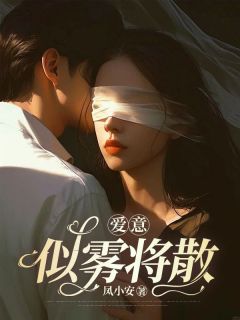凤小安写的小说和沈南风在一起的第五年在线阅读