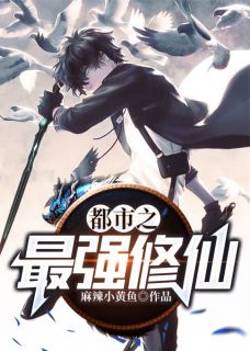 都市之最强修仙小说张南田盈盈免费阅读