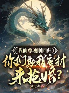 我仙尊魂刚回归，你们欺我废柴来抢婚？暮凌云烟我仙尊魂刚回归，你们欺我废柴来抢婚？全文免费阅读【完整章节】
