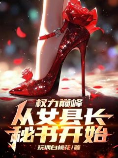 权力巅峰:从女县长秘书开始季风洛纸鸢小说全章节最新阅读