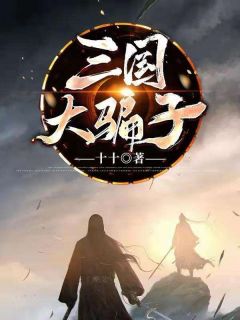 刘正刘备小说三国大骗子免费阅读