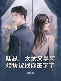 陆总，太太又拿离婚协议找你签字了小说(完本)-纪舒陆津川无错版阅读