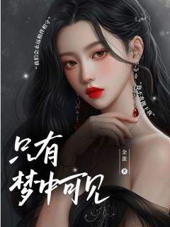 爆款小说由作者金蛋所创作的只有梦中可见在线阅读