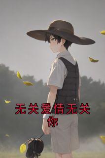 无关爱情无关你(陆云洲白婉)全文完整版阅读
