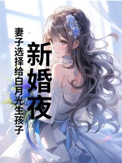 强烈推荐新婚夜，妻子选择给白月光生孩子李崖苏云锦在线阅读