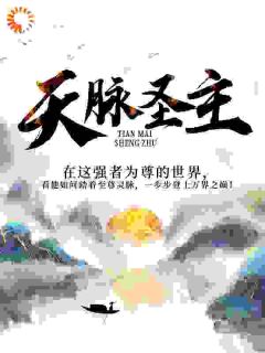 优质新书天脉圣主最新章节小说全文阅读