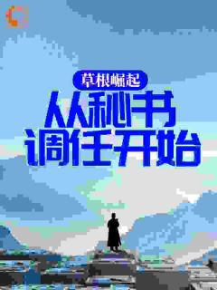 草根崛起:从秘书调任开始小说林晓汤健免费阅读-随缘阅读网