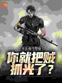 不让你当警察，你就把贼抓光了？(高洋丁建国)最新章节试读