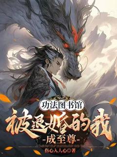 功法图书馆：被退婚的我成至尊陆尊赵婉-伤心入人心小说