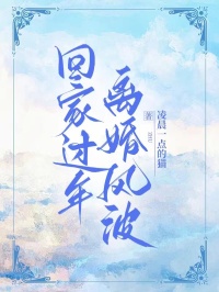 老书虫推荐回家过年离婚风波 在线阅读
