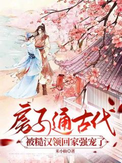 抖音爆款小说穿越成了大龄逃荒女苏晚晚苏晚晚沈渊免费txt全文阅读