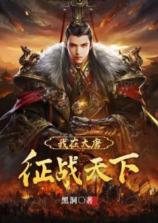 我在大唐征战天下小说(完结版)-李简李世民在线阅读