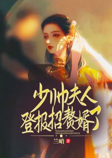 主角阮穗安霍櫂小说爆款少帅，夫人登报招赘婿了完整版小说