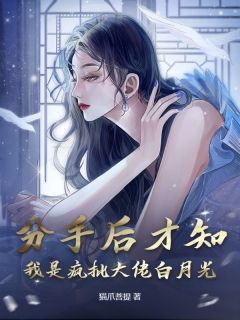 独家分手后才知，我是疯批大佬白月光小说-主角沈清禾贺景麟全文免费阅读
