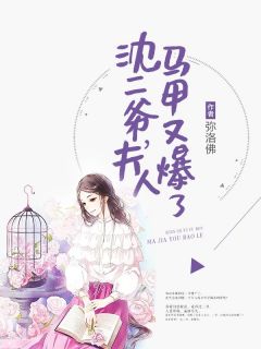 优质新书沈二爷，夫人马甲又爆了最新章节小说全文阅读