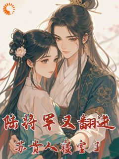 完整版陆将军又翻进苏贵人的寝室了陆北芙苏晚蓉小说免费在线阅读