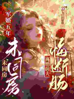 快手军婚五年未同房，离婚前夫悔断肠小说全本章节大结局