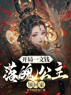 老书虫书荒推荐大华朝淮安府桃源县刘天华txt小说阅读