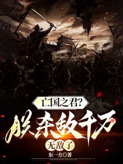 小说推荐亡国之君？朕杀敌千万，无敌了完结版全章节阅读-随缘阅读网