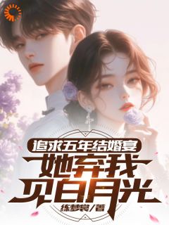 追求五年，结婚宴她弃我见白月光楚焱洛清妍by练梦裳免费看